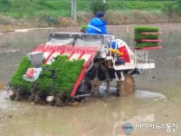 경주시 현곡면 농기계작목반, 모내기 작업 완료