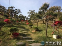 새로운 장묘공간 ‘정안수목장’, 자연장으로 알려져
