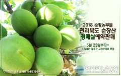 순창농부들, 6월은 매실 할 때 순창 청매실 사전예약개시