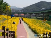 마산회원구 내서읍, 광려천 힐링산책로로 놀러 오세요