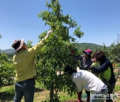 장수군, 본격 영농철 맞아 농촌일손돕기 구슬땀