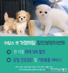 인천서울 강아지 고양이분양 아담스펫, 6월 맞이 9개지점 최대 50% 할인분양 이벤트