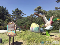 낙동강 오리알이 힐링을 낳는 황금 오리로 탄생