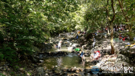 보령 성주산자연휴양림 힐링 휴식처로 ‘인기’