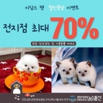 인천ㆍ부천 강아지 고양이분양 아담스펫, 포메라니안, 비숑프리제 등 최대 70% 할인분양이벤트 진행