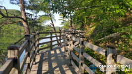 포항시, 전국 최고 수준의 명품 힐링 숲길 조성 박차