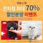 인천, 안산, 안양 강아지ㆍ고양이분양 아담스펫, 말티즈ㆍ토이푸들 최대 70% 할인분양 이벤트