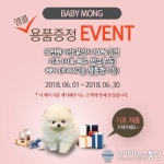인천, 김포, 부천 등 애견 전문 베이비몽, 강아지 분양 시 용품 증정