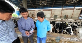 산청군, 젖소 배속 IoT 캡슐로 축사 관리