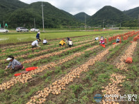 의령군, 봄철 농촌일손돕기 본격 전개
