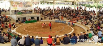 경산자인단오제 대학장사 씨름대회 성황리에 열려