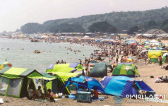 경주 해수욕장, 내달 13일 일제 개장