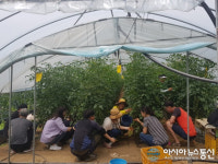 충주 교현2동주민센터, 생산적 일손봉사 나서