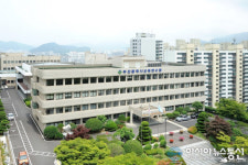 부산교육연수원, 초등 진로전담교사 양성 직무연수