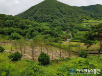 대전시, 단재 신채호선생 생가지 주변 정비 사업 완료