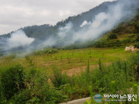 의창구, 소나무재선충병 3차 연막 지상방제