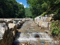 금산군, 산사태 취약지역 재해걱정 줄인다