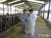 경상남도농업기술원, 폭염 속 축산농가 가축 관리 당부