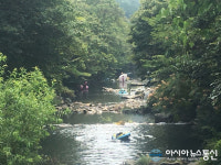 보령 성주 심원동·먹방 계곡, 가족단위 피서객 ‘인기’