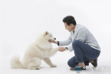 울산시, 유기동물 입양시 병원 진료비 덜어드려요