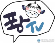 포항시, 시정 현장 연결하는 소셜방송 #퐝TV 개국