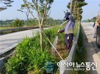 고창군, 가마솥 더위 속 관수 작업