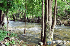 평창군, 주민들 관리···폭염 잊게 하는 계방산오토캠핑장 여름 맞이 개장