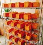 강릉 교동빵집, 화제의 데니쉬페이스트리브레드 제작 과정 공개