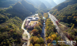 동해 무릉건강 숲 한국형 웰니스 관광 시설 선정