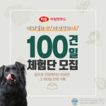 하림 펫푸드 ‘100견 100일 더 리얼 체험단’ 신청하고, 댕댕이 건강도 챙기고