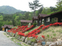 합천의 명품 유원지 오도산 자연휴양림