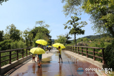 [포토]그늘을 빌려드립니다.