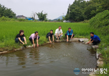 예산군 전통둠벙, 폭염.가뭄에 효자노릇