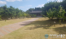 천안 남산공원 인근서 강간상해범 50대 남성 검거