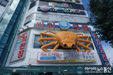 속초맛집 ‘비치크랩’ 동명항 저렴한 대게찜 맛집으로 배부르게 여행 식사 즐길 수 있어