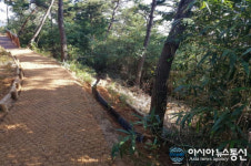 홍성군, 교통약자 위한 ‘무장애 숲길’ 조성