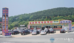 안면도맛집 일송꽃게장백반, 별미 게국지