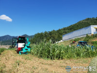 창녕군, 옥수수 수확기 시연회 개최
