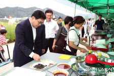 의창구 동읍서 코스모스와 함께 피어오른 ‘통일의 염원’