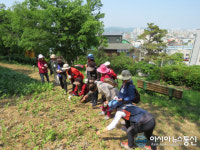 아산시, ‘요양병원 환자’ 등 대상 산림치유 프로그램 운영