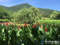 진해구, 추석연휴 ‘진해내수면환경생태공원’ 개방