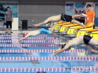 ‘제5회 경상남도교육감기 장애학생체육대회’, 수영