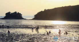 여수 여자만 갯벌노을 체험행사 13~14일 개최