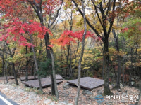화려한 비경 자랑 청도 운문산자연휴양림...단풍절경 구경하러 오세요