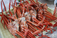 선주직판매 싱싱한 홍게를 무한리필로, 주문진홍게무한리필