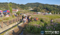 대덕구 장동 계족산 코스모스축제, 5만여 명 찾아 성황