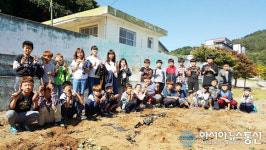 울진 후포동부初 직접 심은 고구마 캐니 기뻐요