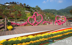 합천 대장경테마파크,국화향기에 취하고...가을 단풍에 취하고