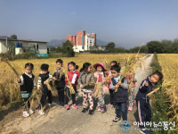 곡성꿈놀자, 곡성유치원생  벼 수확 생태체험 실시