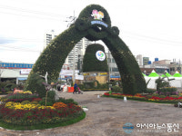 창원농업기술센터, ‘제18회 마산가고파국화축제’ 준비 구슬땀